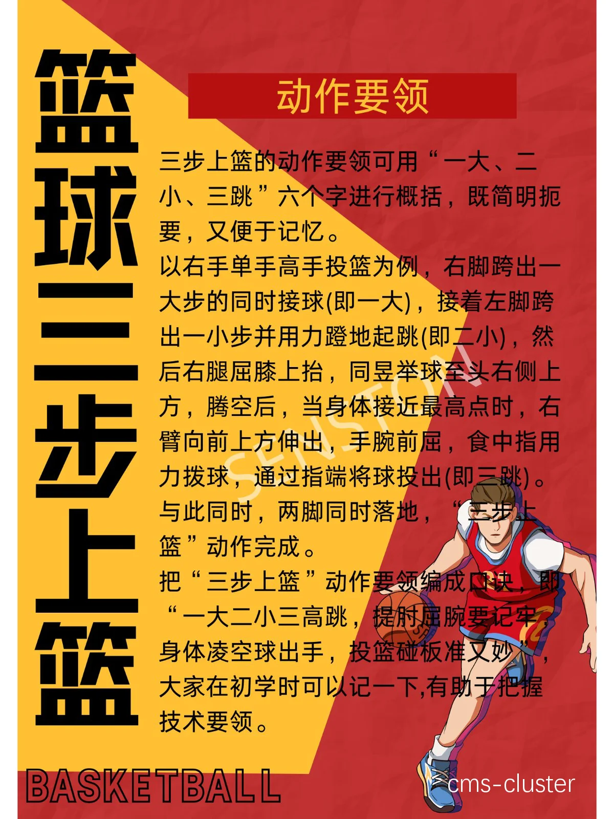 新手一套完整的篮球训练方法
